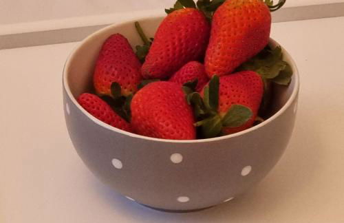 PREMIER - Whifflet Apartment - Foto 22