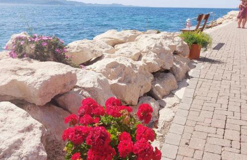 Villa Puntina, Bibinje - Foto 60