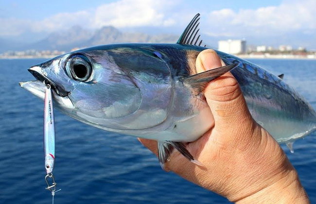"Seitenhalbtagesfischen Abenteuer: Transfer inklusive!" - Foto 1