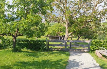 Studio Kaline - Foto 28