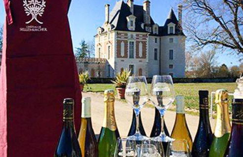 Gite Proche De Beauval - Foto 17