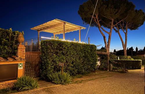 Fattoria Di Pancole - Foto 37