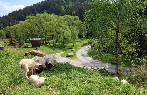 Ferienbungalow "Zum Brocken" - Foto 14