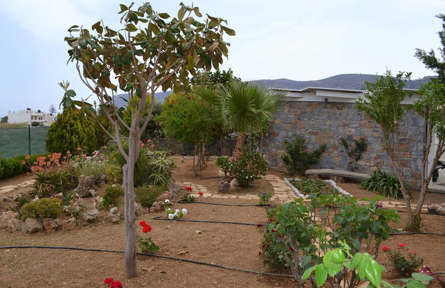 Villa Elena - Photo 39