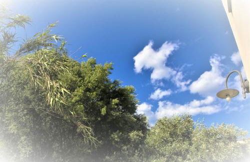 Fenile Apartments - Foto 46