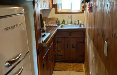 Adirondack Waterfront Cabin Upper Hudson Tributary - Foto 14