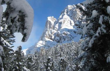 Haus Tannenburg - Photo 32