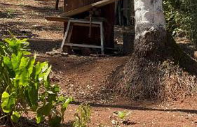 Sítio da Restauração - Photo 42