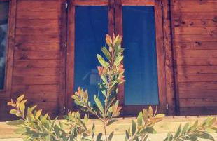 Quinta da Idalina - Foto 22