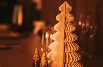 L Alpina Suite avec Sauna et Baignoire - Hyper Centre Lille - Foto 6