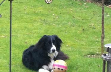 Ferienwohnung Poczewski - Foto 18