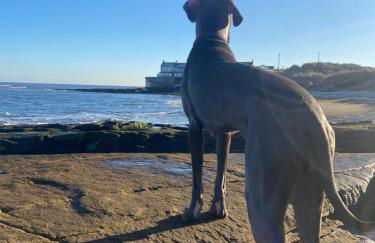 Stunning quirky home in Amble - Foto 24