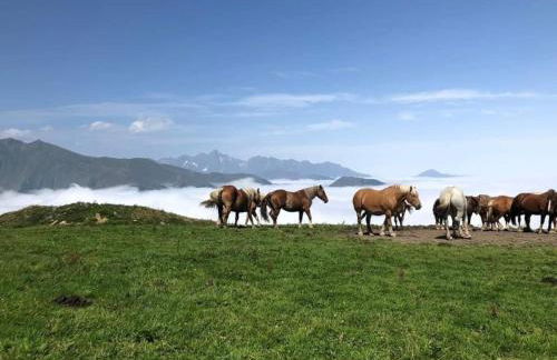 Le petit Nid Rouge - Foto 42