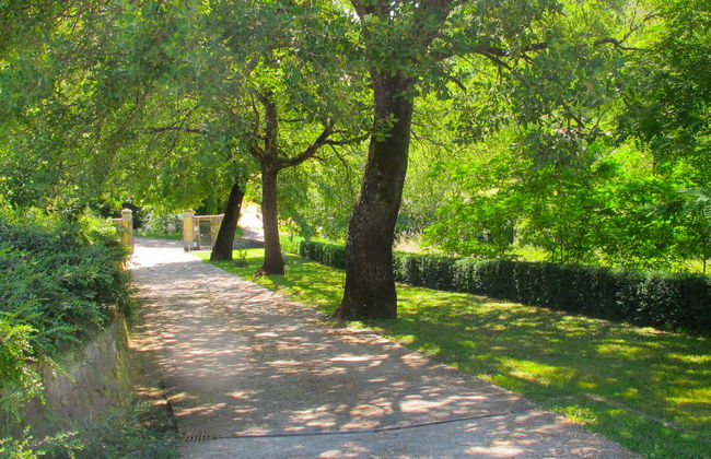 Corbezzolo - Foto 40