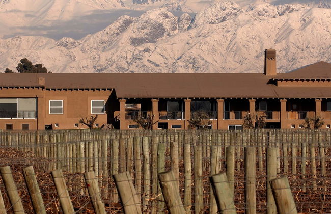 Tour privato delle cantine di Luján de Cuyo - Foto 7