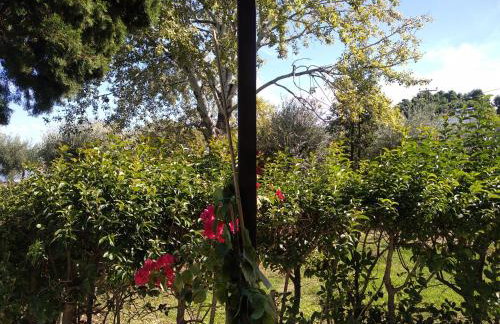 Kalypso relaxing shelter - Foto 20