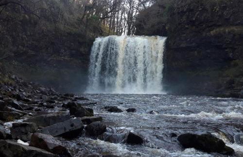 5 Bed in Brecon oc-90660 - Foto 48