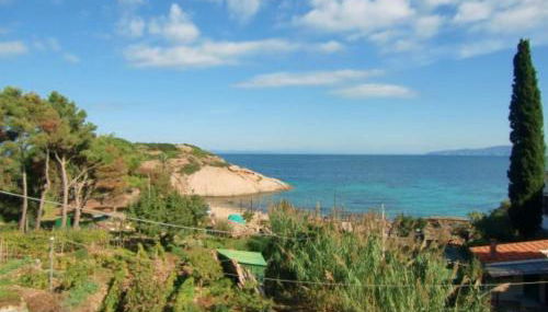 Agenzia Ammiraglio - Foto 3