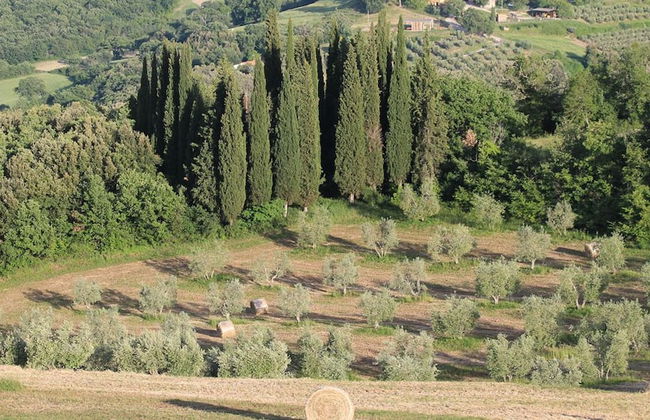 Agriturismo Il Poderuccio - Foto 58
