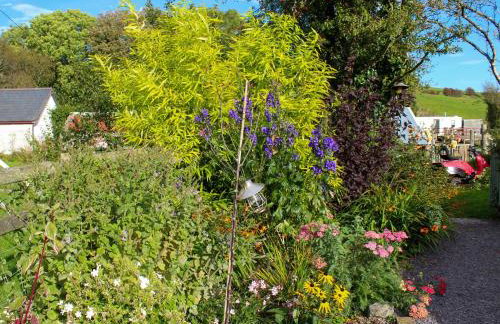 Garden Room - Foto 10