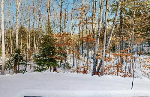 Bear Village 14 - Foto 17