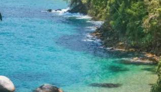 Apê da Daí - Foto 3