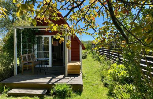 Vier Winde Usedom - Ferienanlage - Foto 37