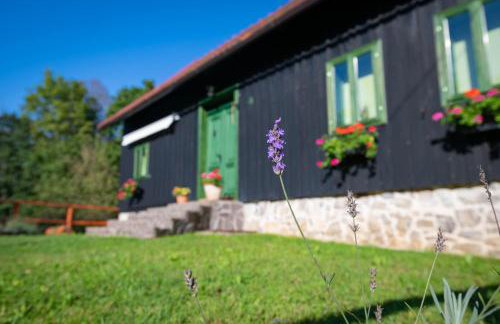 Šajnska Hiža, autentična goranska kuća u prirodi - Foto 42