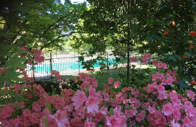 The Grange Homestead - Foto 27