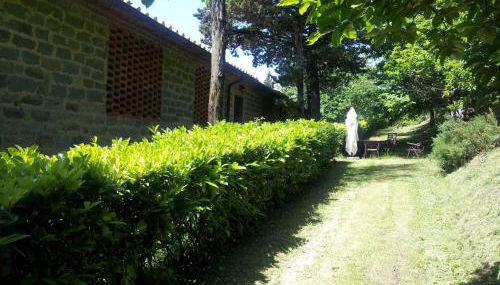 Amazing Stay in Tuscany Rustic Style - Foto 5, Garden, Other