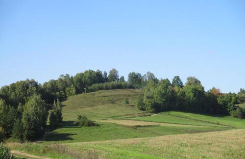 Dworek Telimena - Foto 22