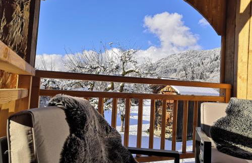 Chez Lucienne, jacuzzi et sauna - Foto 29