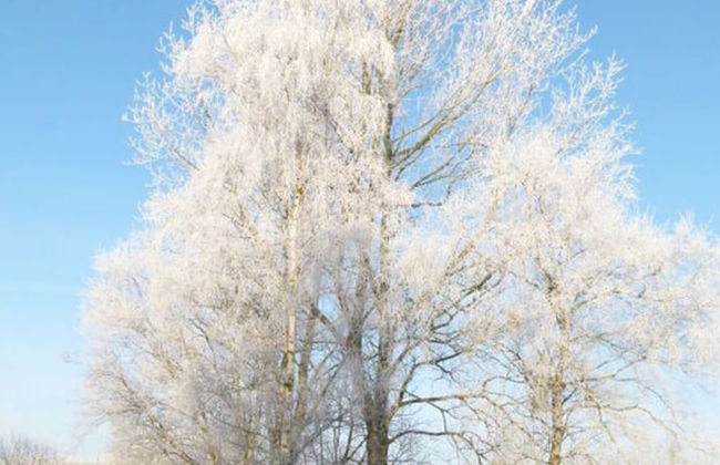 Slanitz Modern Retreat - Foto 20