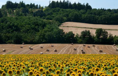 Elena Paternoster - Foto 9