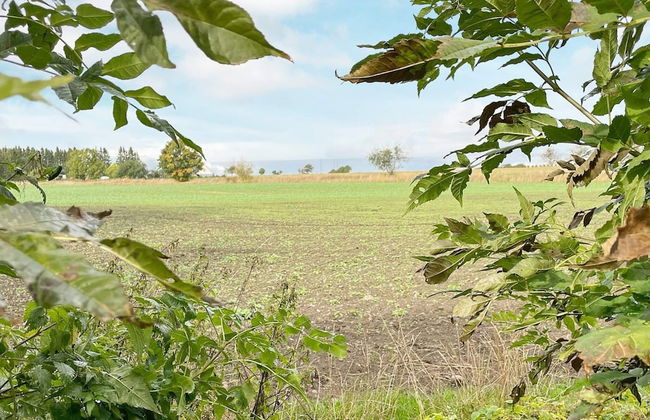 6 Person Holiday Home in Tomelilla-by Traum - Foto 23