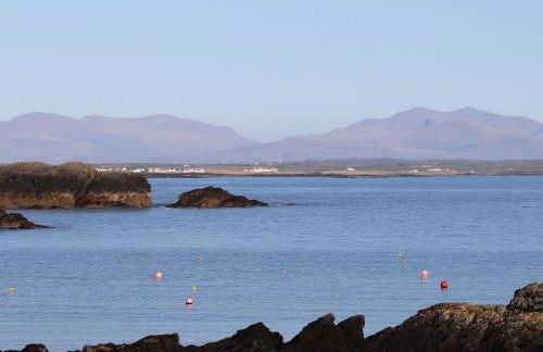 Bodior Garden Cottage Bach - Photo 35