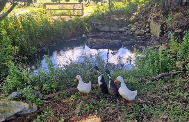 Sea View hut Sleeps 4/6 - Photo 15