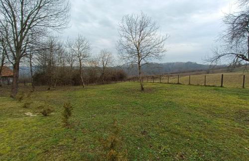 Šumski san - Foto 49