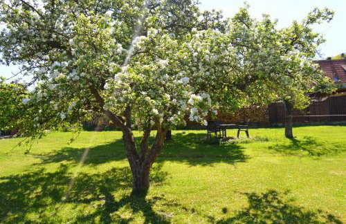 Ferienwohnung Waldblick Bückeburg - Photo 16