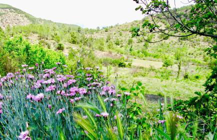 La Casuna de la Una - Foto 77