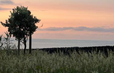 ENTRE MUROS - Turismo Rural - Casa com jardim e acesso direto ao mar - Photo 74