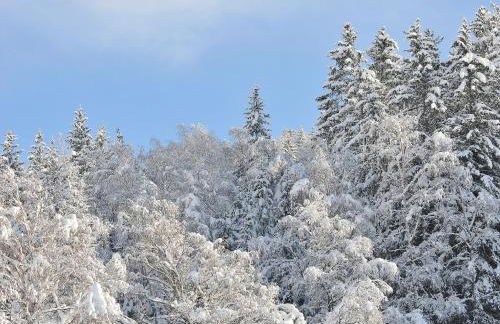 Casa Reit - Photo 55