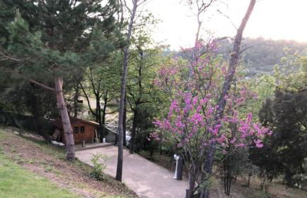 Villa Golf les Cigales - Foto 37