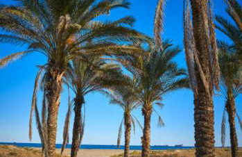 Ka la paca - Foto 63