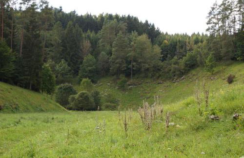 FEWO Geisbergblick - Foto 9