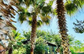 Costa Brava Insólita con Piscina Privada, AC, WIFI, Parking, Terraza - Photo 15