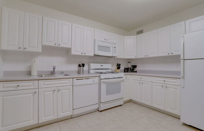 Modern Apt Near Airport in Cystal City - Photo 16