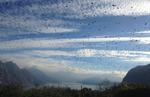 Casa Rosa holiday - Foto 53