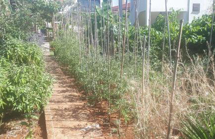 Levak Apartments - Apt.3 - Photo 34