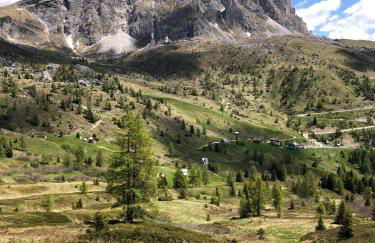 Cesa de Conesel - Foto 52